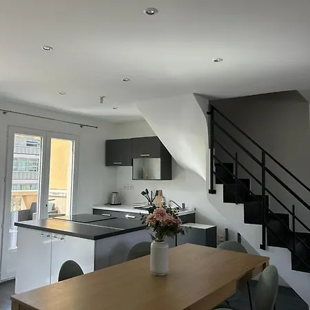 Duplex Lumineux Renove Avec Terrasse Et Bains De Soleil Cannes