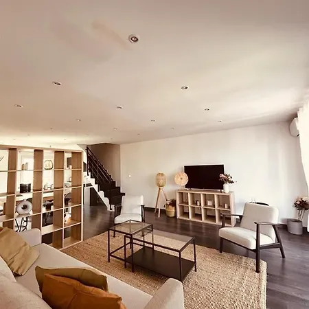 Duplex Lumineux Renove Avec Terrasse Et Bains De Soleil
